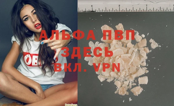 твердый Алексеевка